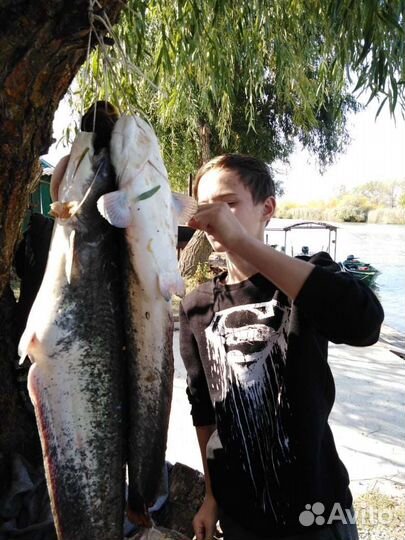 Рыбалка и отдых на Нижней Волге. Лукоморье в Мумре