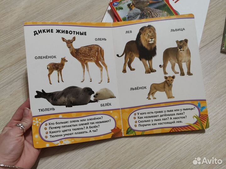 Книги для малыша, картонные, для ванной