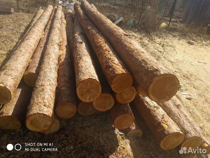 Пиломатериалы, Новобурейский, Бурея, Прогресс, Рай