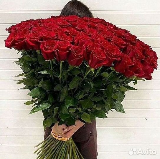 Метровые розы