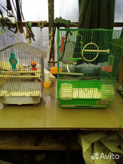 Клетка для попугая