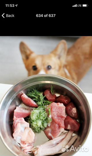 Продается магазин мяса для собак