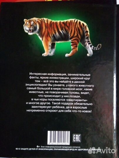 Детская энциклопедия