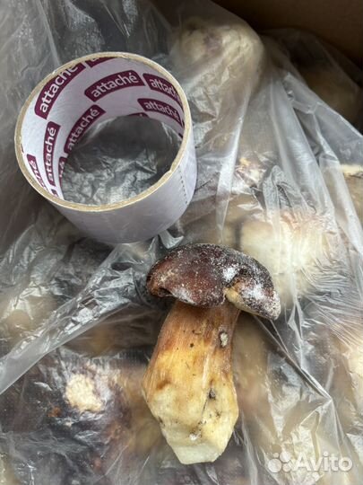 Грибы белые (Цельные и кубики)