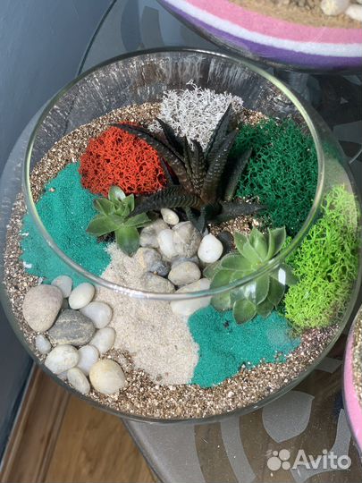 Флорариум с живыми цветами