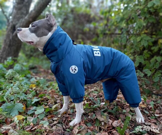 Зимний комбинезон для собак