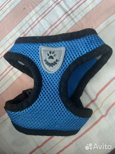 Шлейка синяя зеленая для собак лежанка поводок