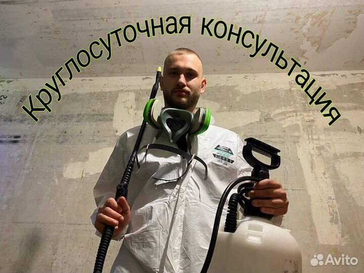 Обработка от тараканов, уничтожение клопов