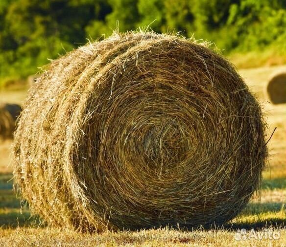 Сено в рулонах/катушках