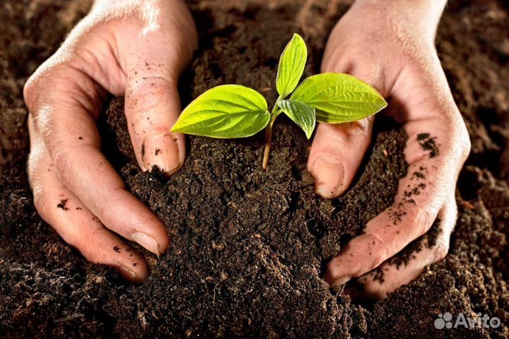 Плодородный грунт