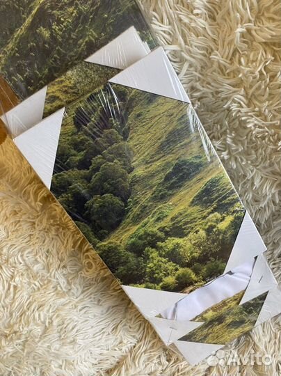 Новая Модульная картина 5 частей лес запакованная