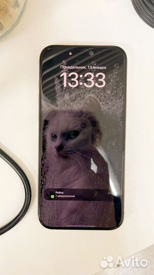 iPhone 16 Pro Max, 256 ГБ