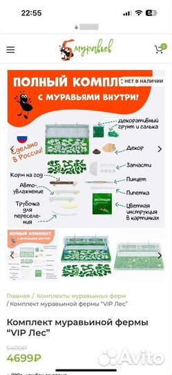 Муравьиная ферма с муравьями