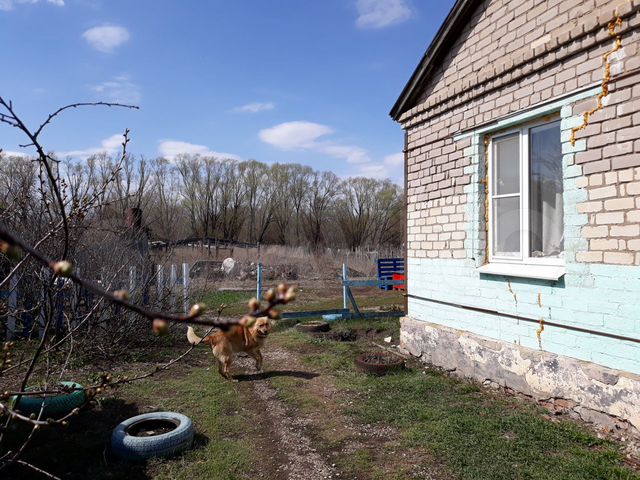 Погода самарская область глушица большая на 10. Новопавловка Самарская область Большеглушицкий район. Село Новопавловка Самарская область Большеглушицкий район. Ледяйка Самарская область. Село Александровка Большеглушицкий район Александровка Самарская.