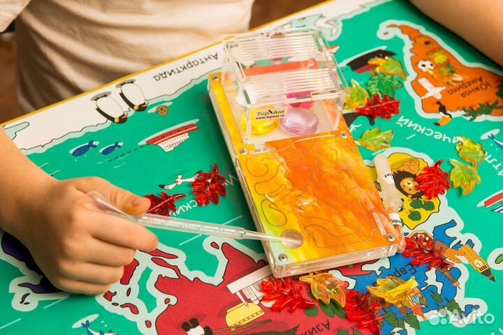 Ферма с муравьями / Формикарий