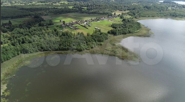 Участок 4,3 га (ИЖС)