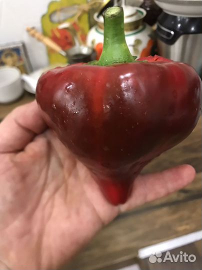 Перец Леся красный
