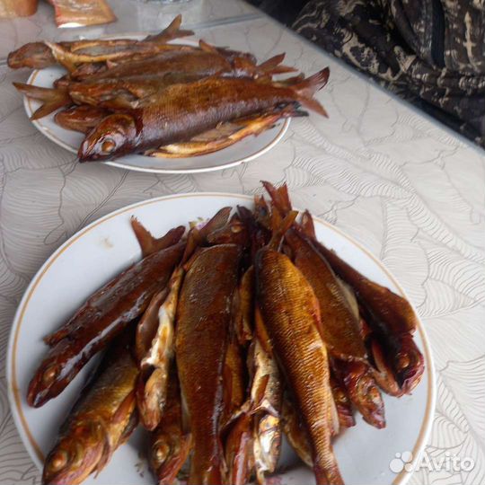 Походы на вездеходе по Северному Уралу