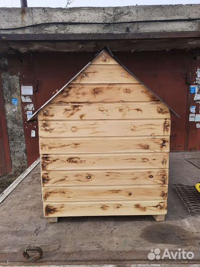 Собачья будка