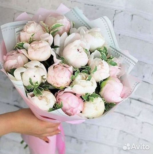 Пионы Букеты Цветы Доставка