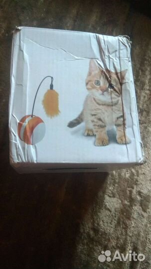 Кошачья игрушка