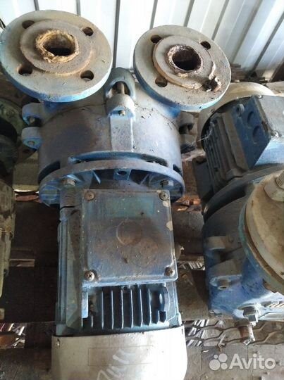 Водокольцевой вакуумный насос robuschi RVS7