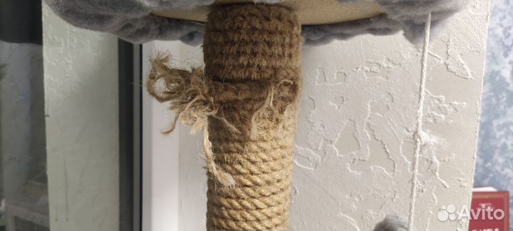 Когтеточка домик для кошки б/у