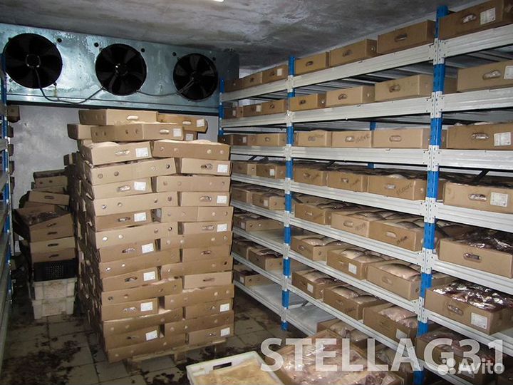 Разнорабочий