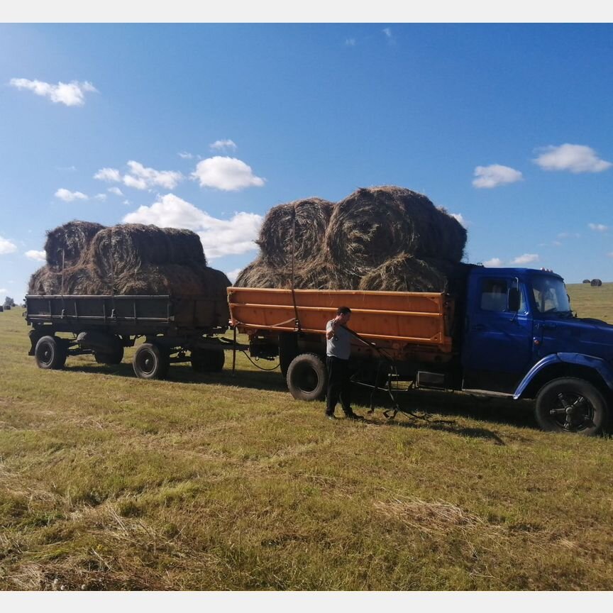 Продам сено в рулонах