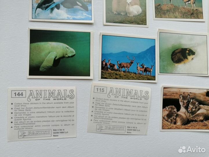 Альбом с наклейками, наклейки Мир животных Panini