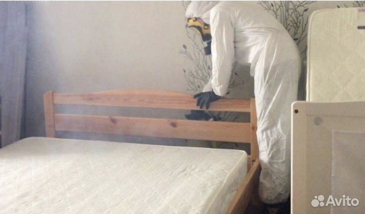 Дезинсекция. Уничтожение тараканов, муравьев