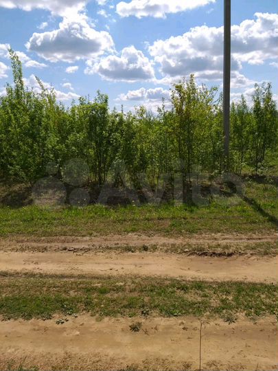 Участок 10 сот. (ИЖС)