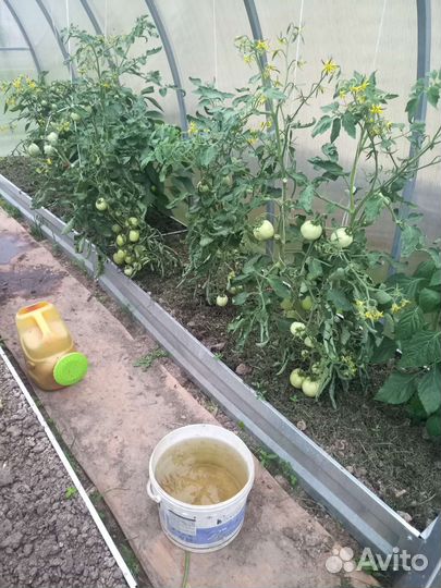 Перегной навоз земля