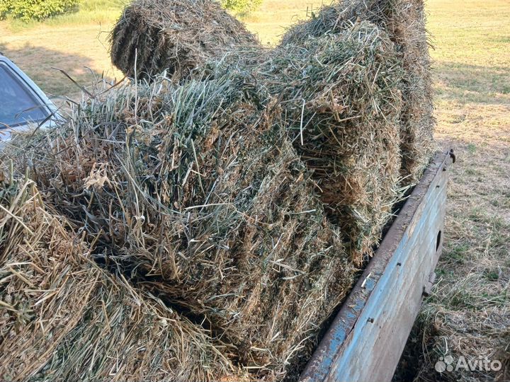 Сено в тюках