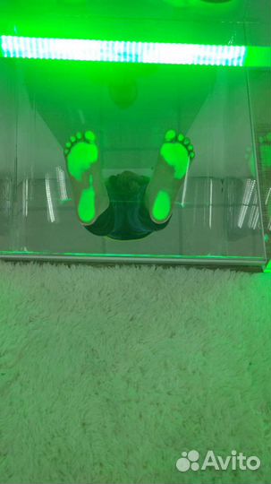 Подолог,педикюр