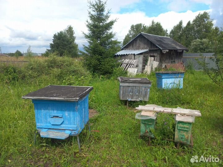 Продам ульи для пчел