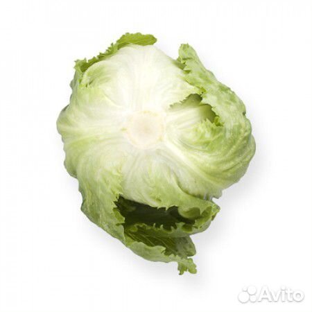 Семена Салата 