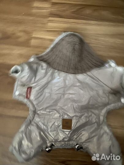 Одежда для собак мелких пород