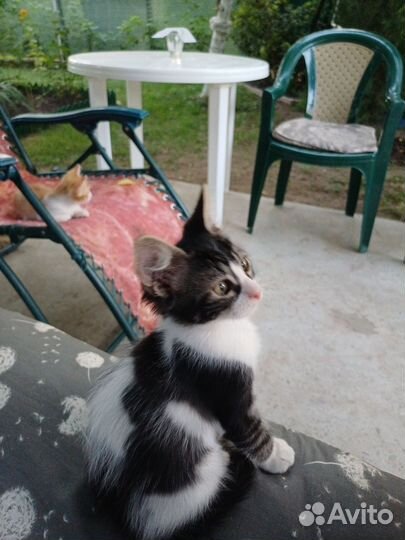 Малыши нуждаются в доме