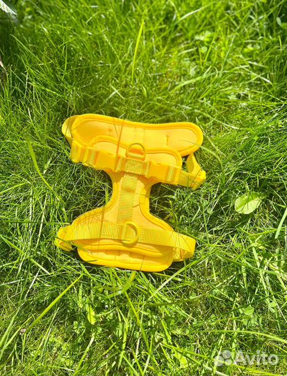 Шлейка для маленьких собак и кошек желтая