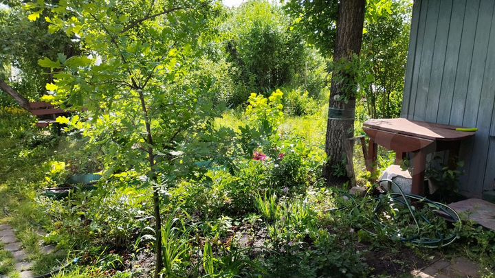 Участок 3 сот. (СНТ, ДНП)