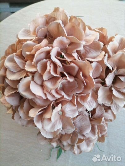 Растения, декор, цветы искусственные