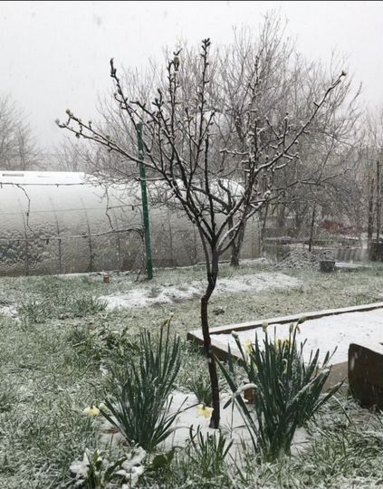 Участок 3,4 сот. (СНТ, ДНП)