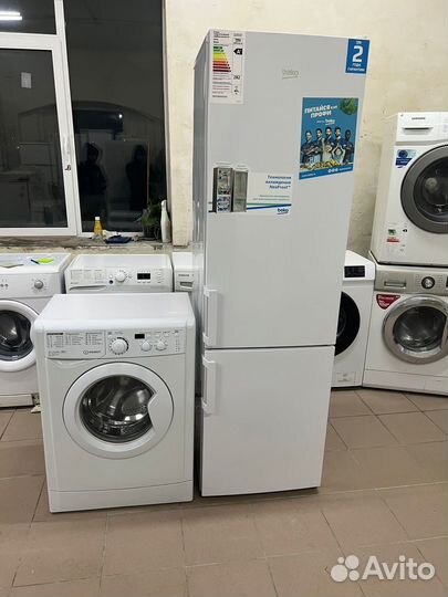 Канди пол года