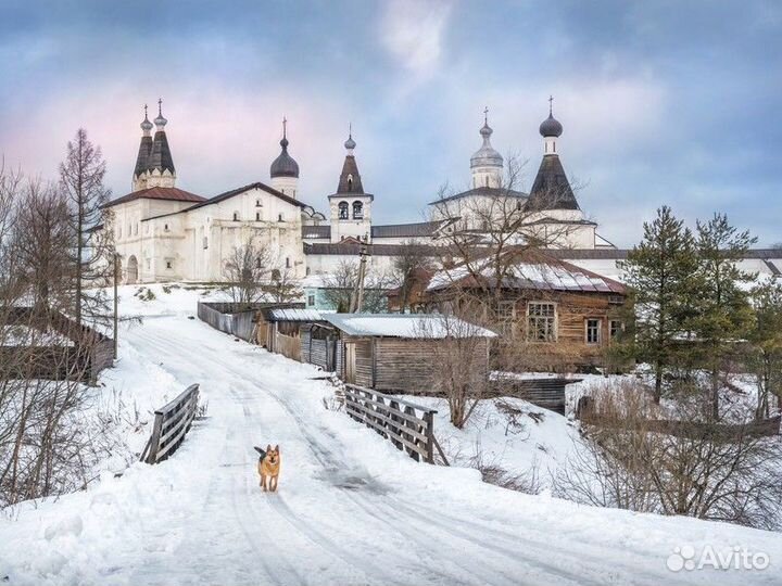 Экскурсия — Кириллов — Монастыри Северной Фиваиды: