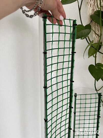 Тотемы для растений