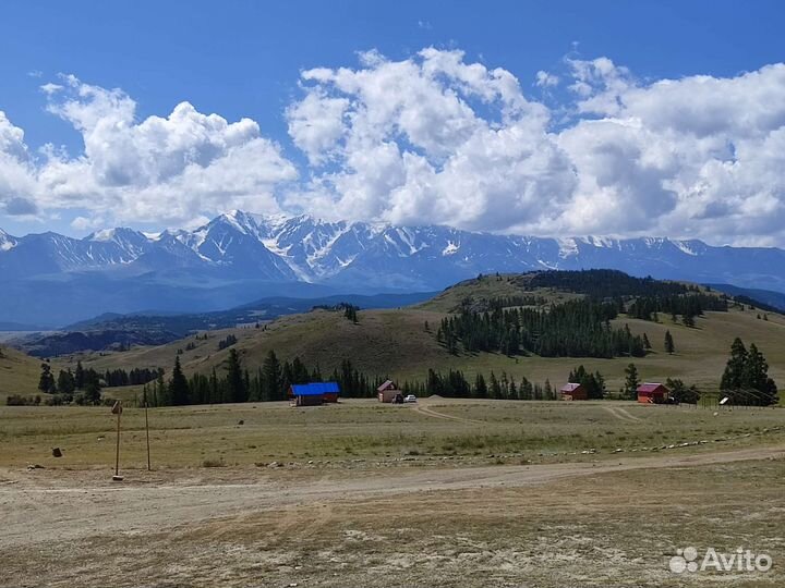 Трансфер микроавтобус