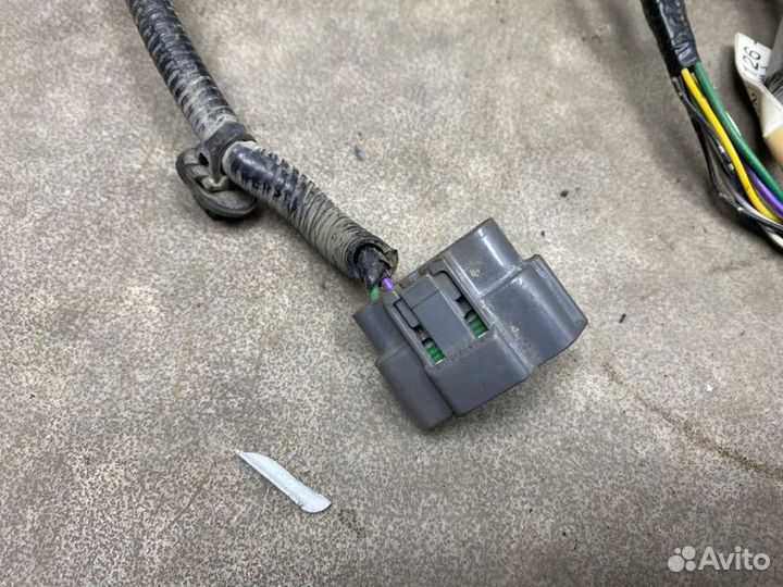 Проводка двери задняя правая Nissan Murano Z51 3.5