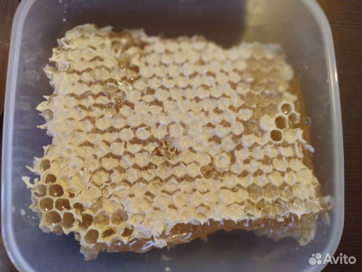Сотовый мед