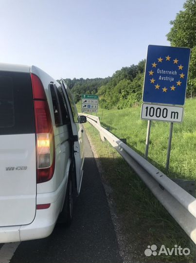 Трансфер под вас/переезд с животным Европу/Грузию